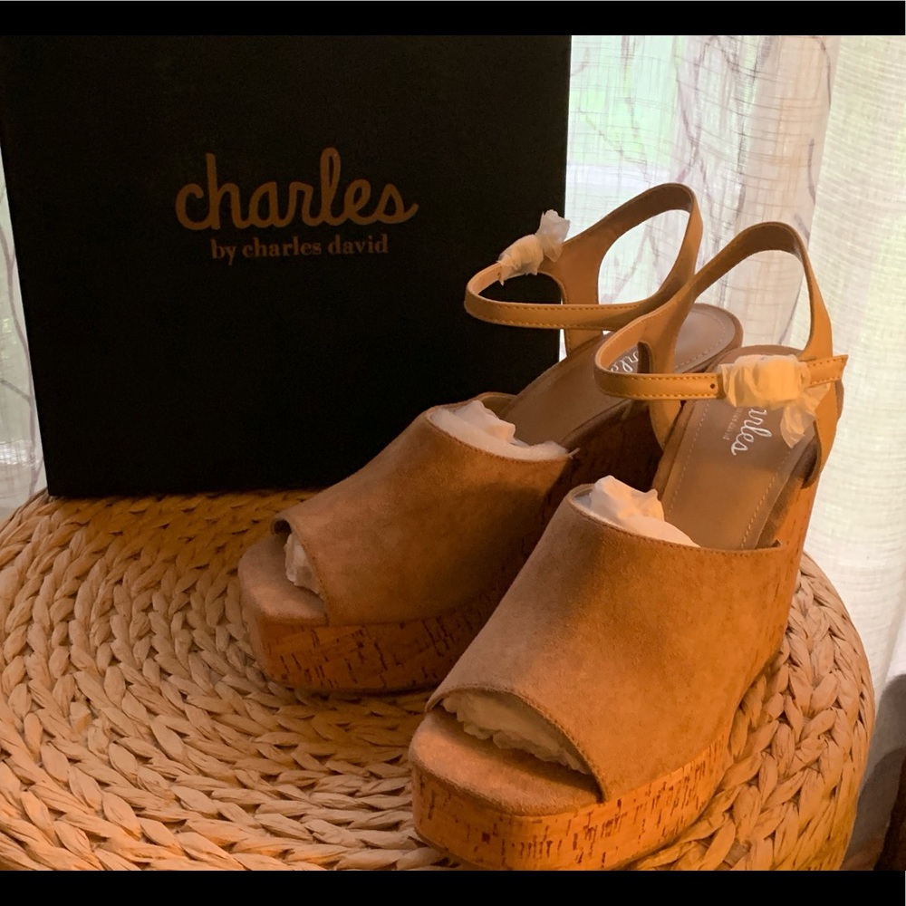 Brand New Cork Platform Wedge Sandals